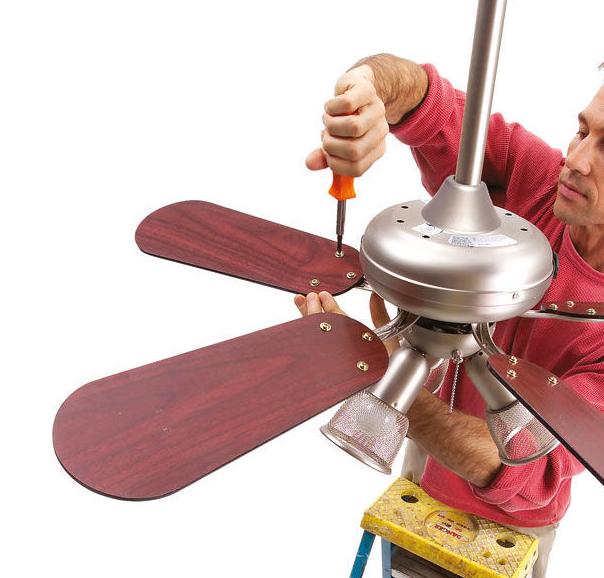 Ceiling Fans